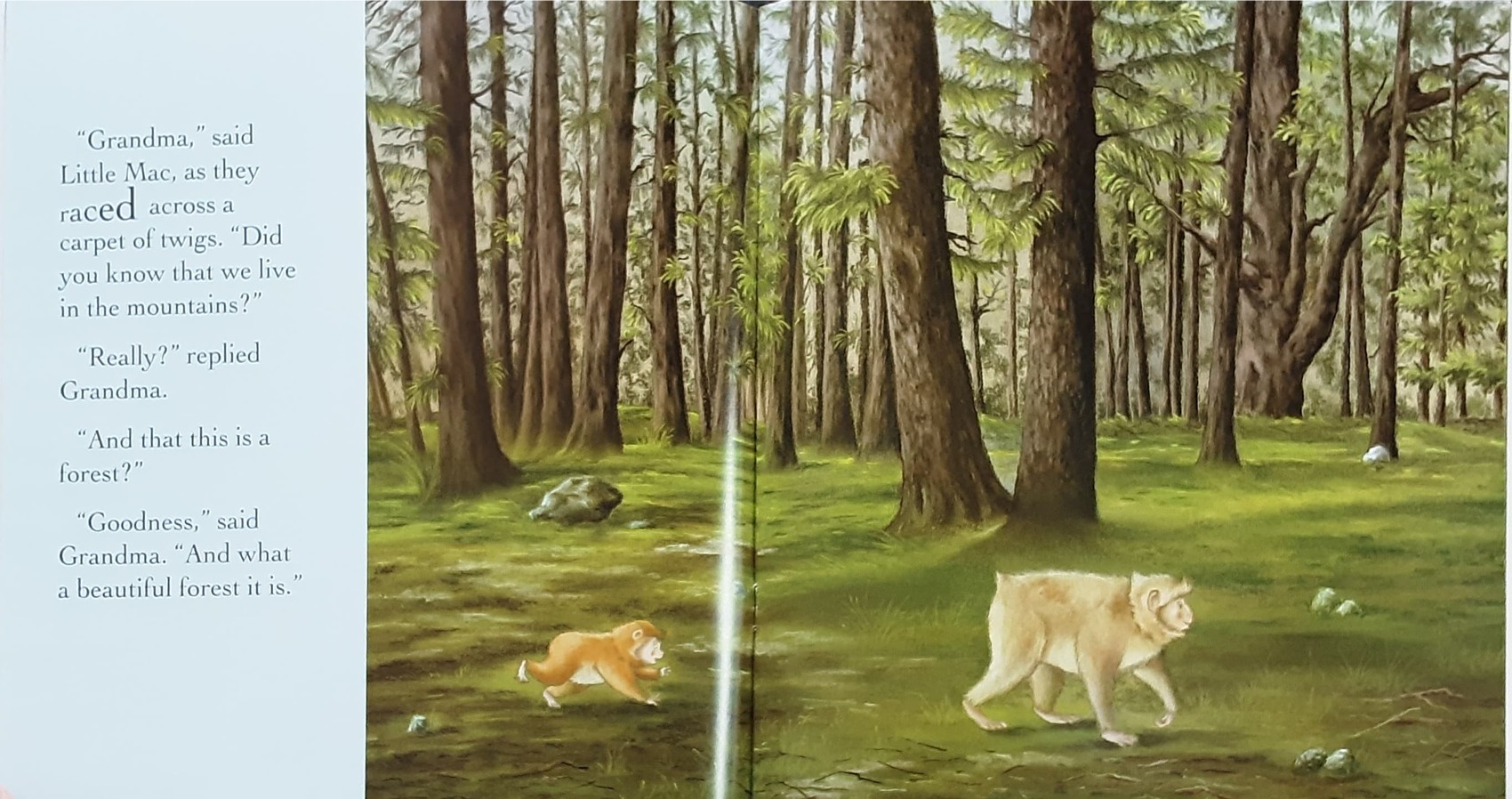 หนังสือนิทานปกอ่อน** 🍅🍓Grandma's Little Monkey