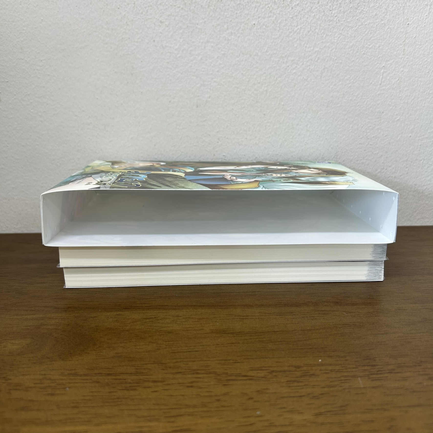 [YAOI] BOXSET มายาพันธกานต์ เล่ม 1-2 จบ ครบชุด ... Feng Nong เฟิงน่ง (มือสอง) นิยายวาย BLY