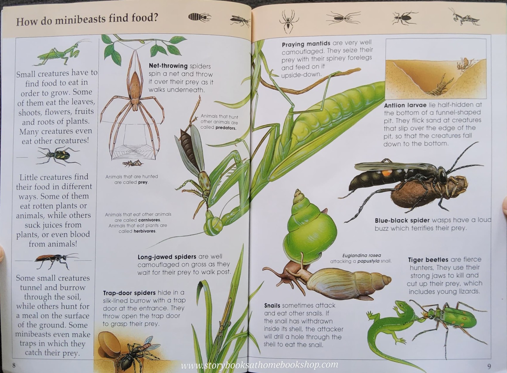 KNOWLEDGE BOOK** ♥️♥️KNOWLEDGE MASTERS MINIBEASTS♥️