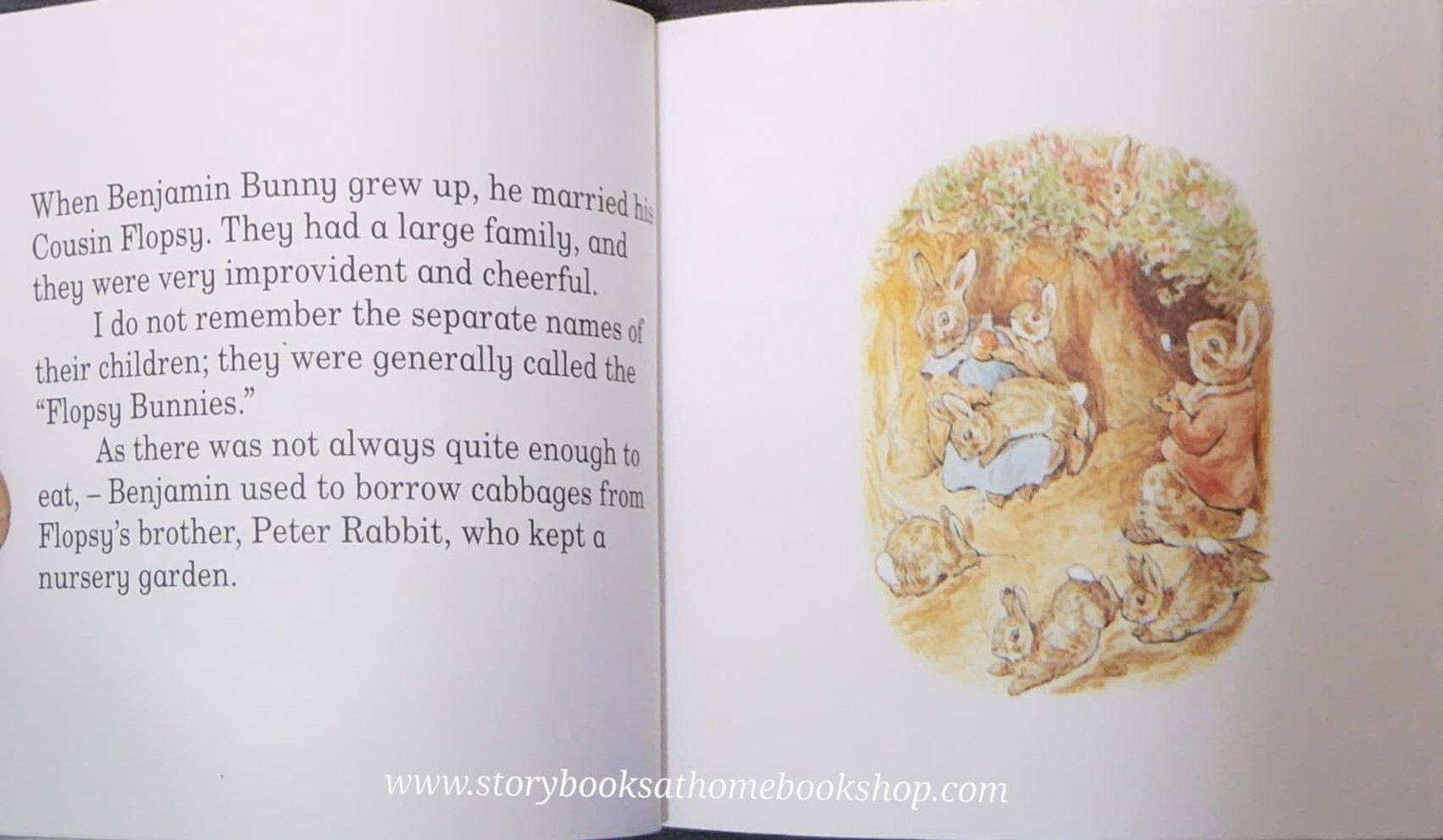 หนังสือนิทานปกอ่อน ** 🍅🍓THE TALE OF THE FLOPSY BUNNIES