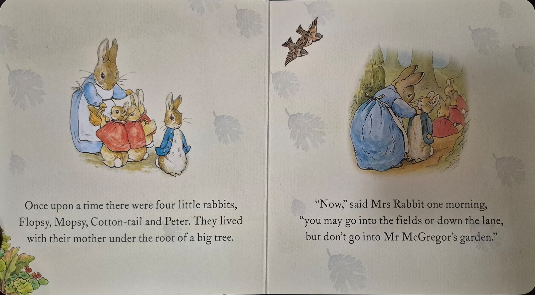 BOARD BOOK** 🍅🍓THE TALE OF PETER RABBIT BY BEATRIX POTTER
