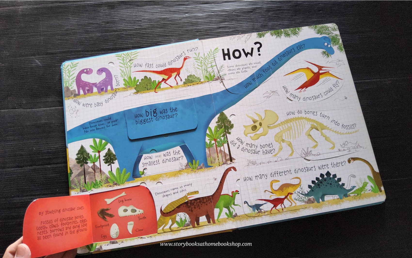 LIFT THE FLAP BOARD BOOK** 🍅🍓QUESTIONS AND ANSWERS ABOUT DINOSAURS