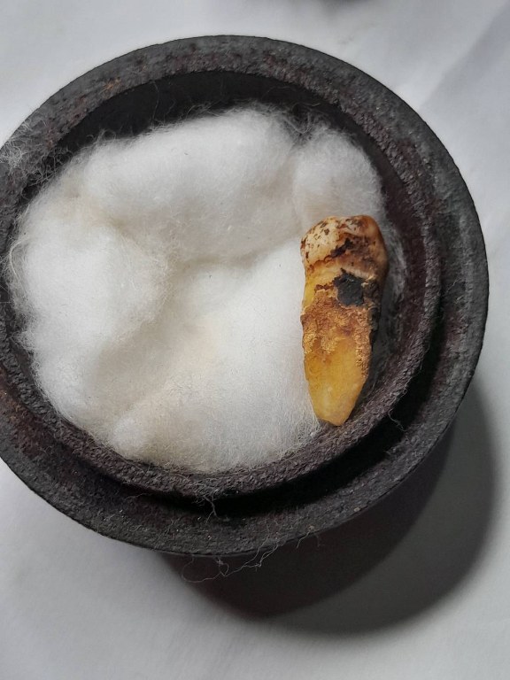 พระทันตธาตุครูบาอิ่นแก้ว วัดป่าถ่อน อ.แม่สรวย จ.เชียงราย ได้มาจากคุณลุงสมหมาย อดีตตำรวจ อ.แม่สรวย คุณลุงสมหมายเป็นญาติหรือหลานครูบาอิ่นแก้ว คุณลุงสมหมายอายุ 62 ปี ยังมีชีวิตอยู่ ได้รับพระทันตธาตุครูบาอิ่นแก้วนี้เมื่อ พ.ศ. 2547 ตอนที่ท่านอายุ 42 ปี