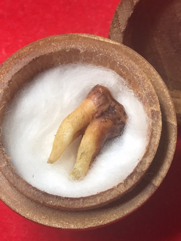 พระทันตธาตุ ครูบาใจมา วัดทุ่งจำลอง ต.แม่งอน อ.ฝาง จ.เชียงใหม่ องค์นี้ได้มาจากคุณลุงสันติ อายุ 79 ปี เป็นชาว อ.ฝาง จ.เชียงใหม่ คุณลุงสันติ เคยบวชเป็นพระ รับใช้ครูบาใจมา ตั้งแต่ปี พ.ศ. 2532-2540 ท่านสึกมาเมื่อปี 2541 มาดูสวนส้ม และดูแลคุณแม่