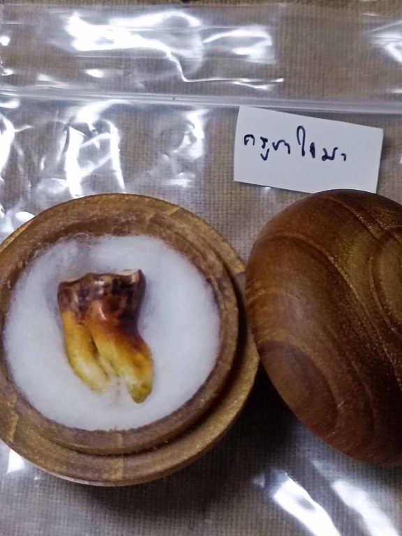 พระทันตธาตุ ครูบาใจมา วัดทุ่งจำลอง ต.แม่งอน อ.ฝาง จ.เชียงใหม่ องค์นี้ได้มาจากคุณลุงสันติ อายุ 79 ปี เป็นชาว อ.ฝาง จ.เชียงใหม่ คุณลุงสันติ เคยบวชเป็นพระ รับใช้ครูบาใจมา ตั้งแต่ปี พ.ศ. 2532-2540 ท่านสึกมาเมื่อปี 2541 มาดูสวนส้ม และดูแลคุณแม่