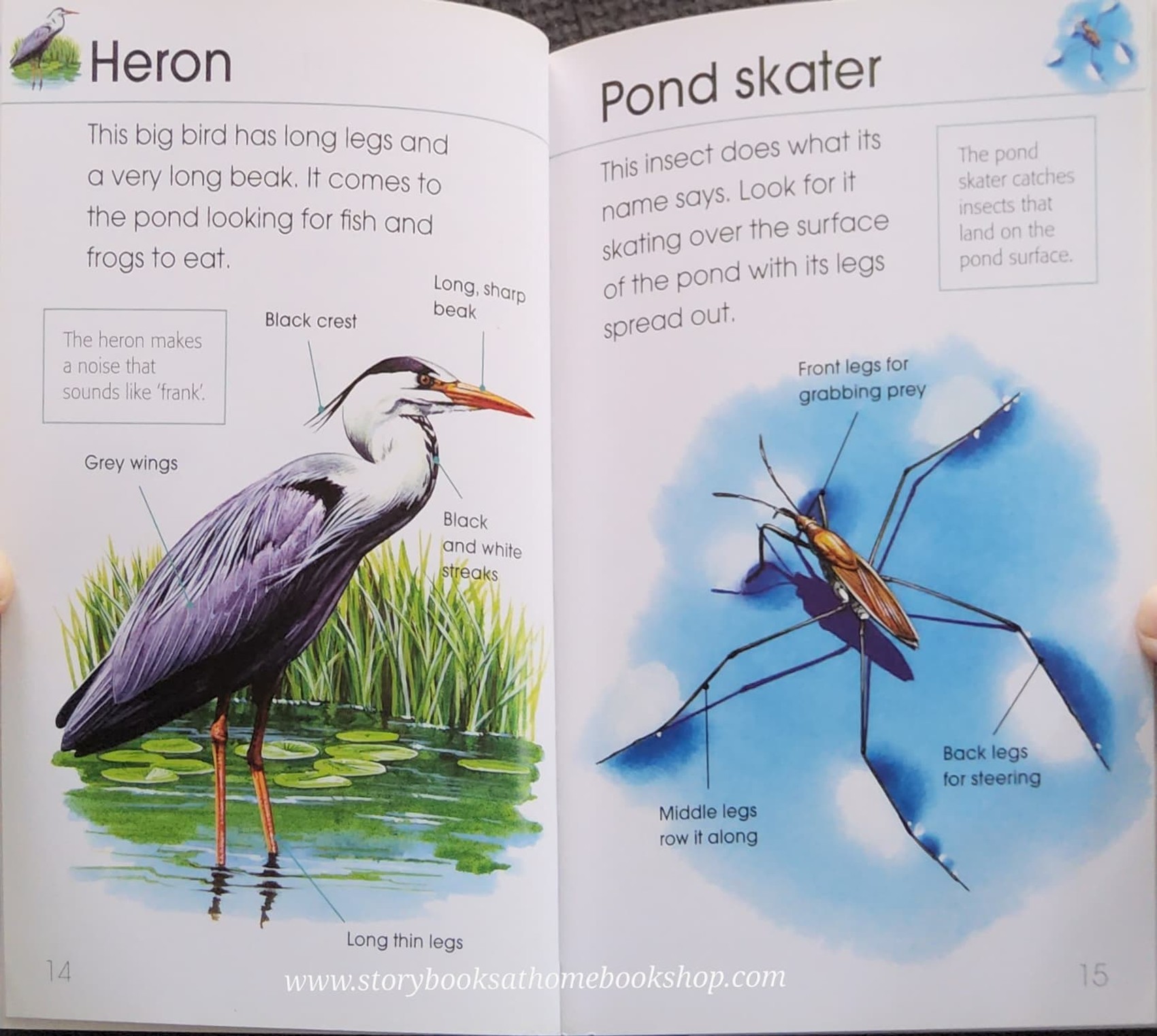Knowledge Book** ð
ð
RSPB FIRST BOOK OF POND LIFE
