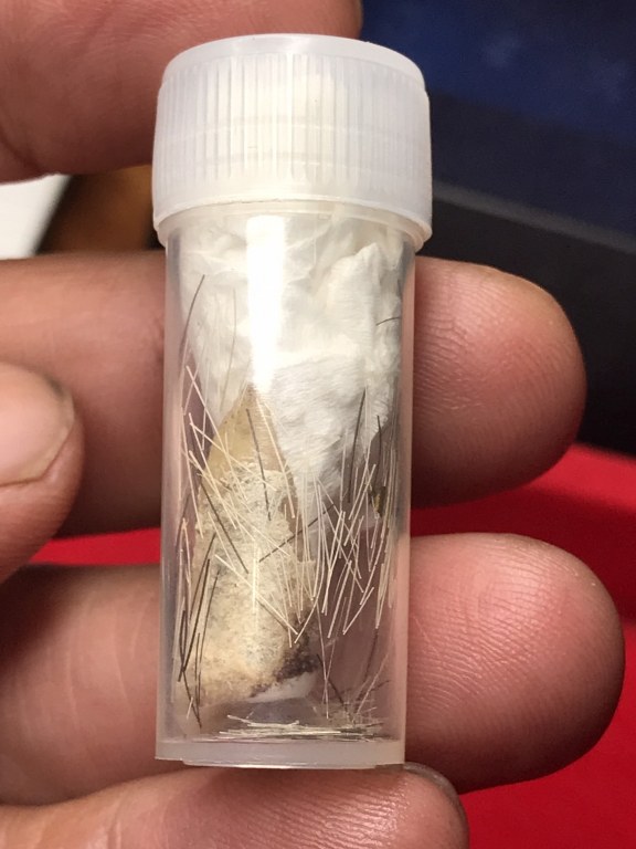 พระทันตธาตุครูบากองแก้ว วัดต้นยางหลวง จ.เชียงใหม่ ได้มาจากกำนันคำ อดีตกำนันบ้านปากกอง อ.สารภี จ.เชียงใหม่ ปัจจุบันอายุ 86 ปี (บันทึก พ.ศ.2566) กำนันคำจะมีคนคอยหาวัตถุมงคลให้ ชื่อว่าลุงสมควรปัจจุบันเสียชีวิตแล้ว ถ้ามีชีวิตอยู่น่าจะมีอายุประมาณ 70 ปี