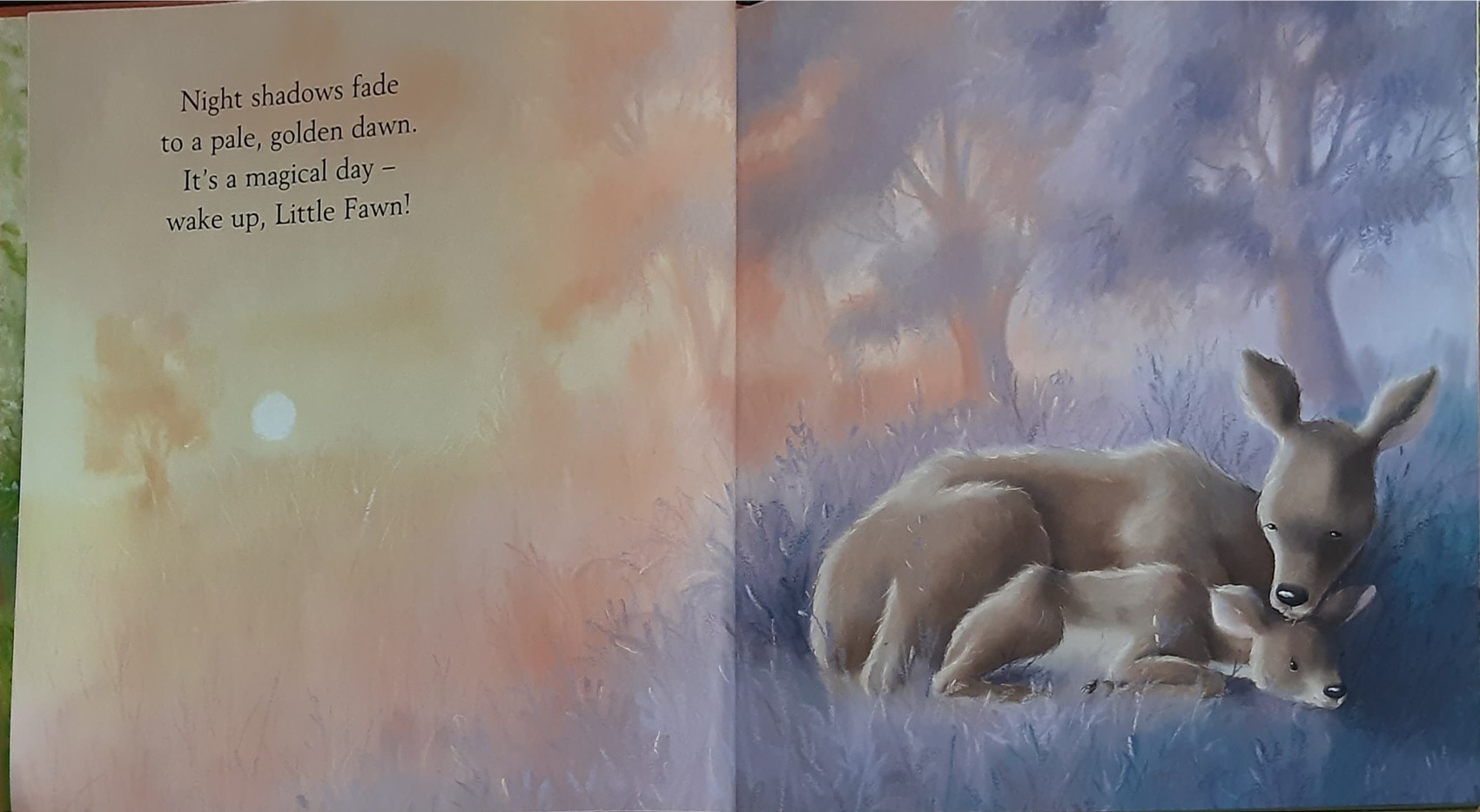 หนังสือนิทานปกแข็ง ** 🍅🍓 ONE MAGICAL DAY