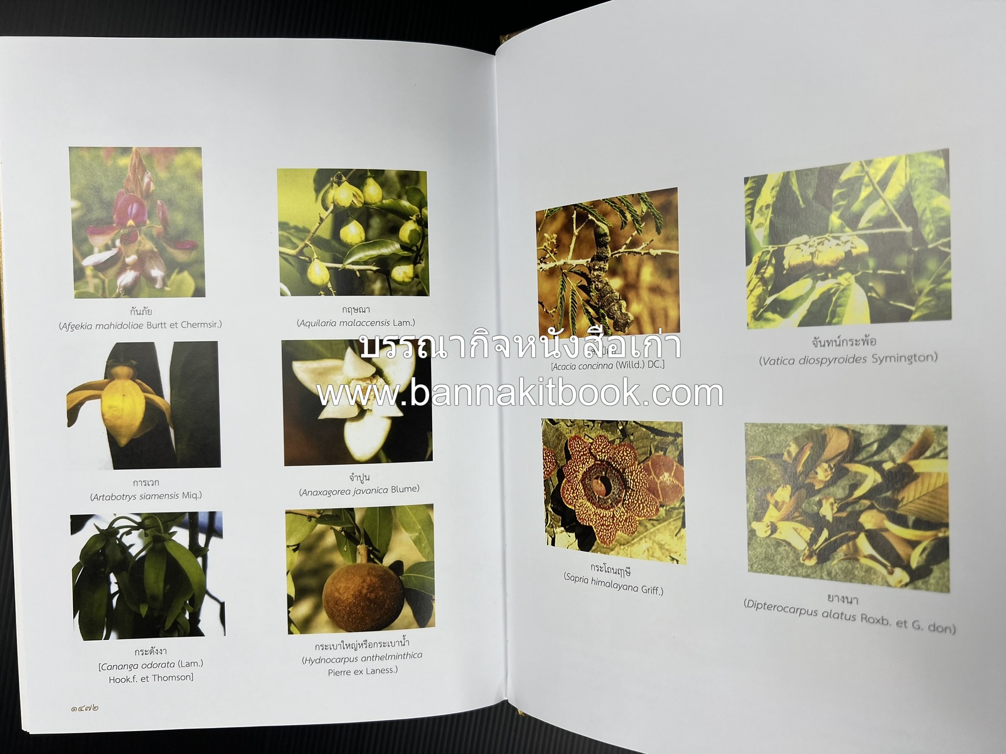 พจนานุกรม ฉบับราชบัณฑิตยสถาน พ.ศ. 2554 โดย : ราชบัณฑิตยสถาน.