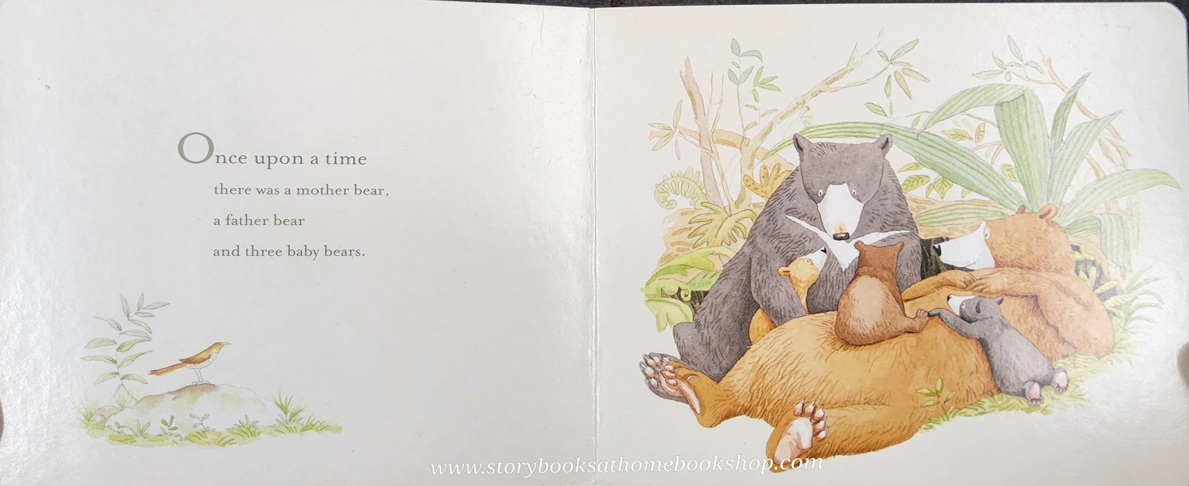 RECOMMENDED BOOK** **BOARD BOOK ** 🍅🍓YOU'RE ALL MY FAVOURITES BY SAM McBRATNEY.ANITA JERAM