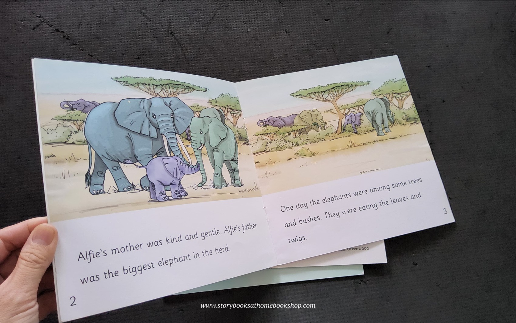 หนังสือนิทานปกอ่อน** 🍅🍓ALFIE'S ADVENTURE 3BOOKS