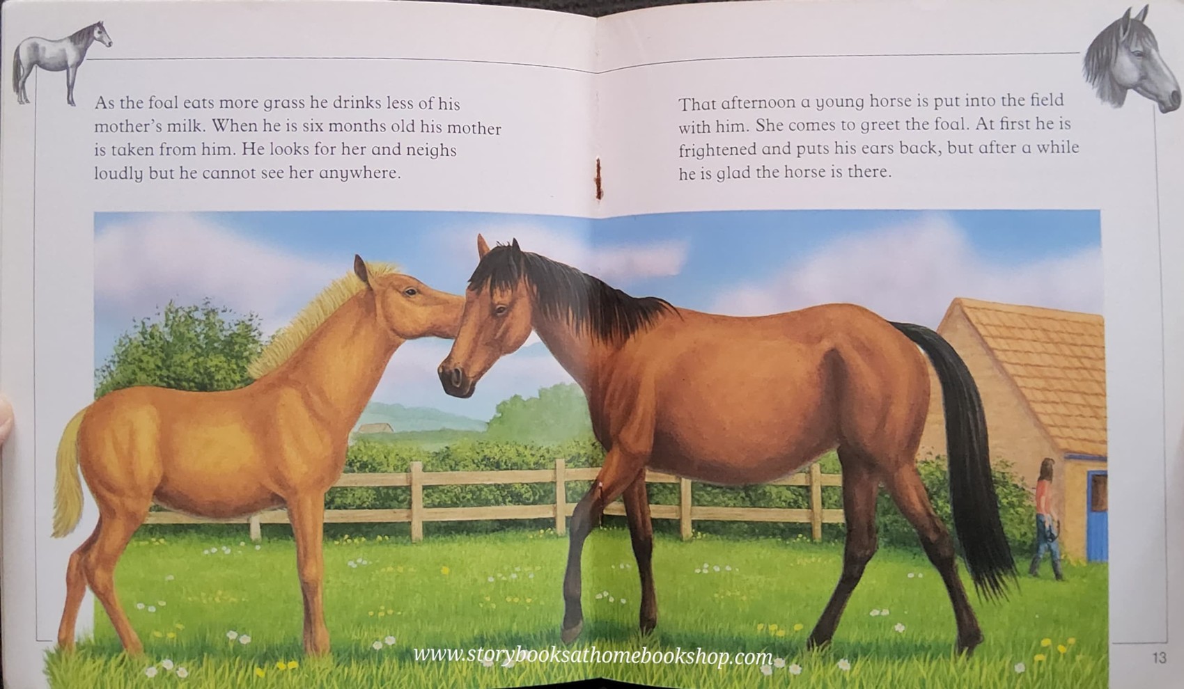 หนังสือนิทานปกอ่อน** 🍅🍓FARM ANIMAL STORIES THE PONY