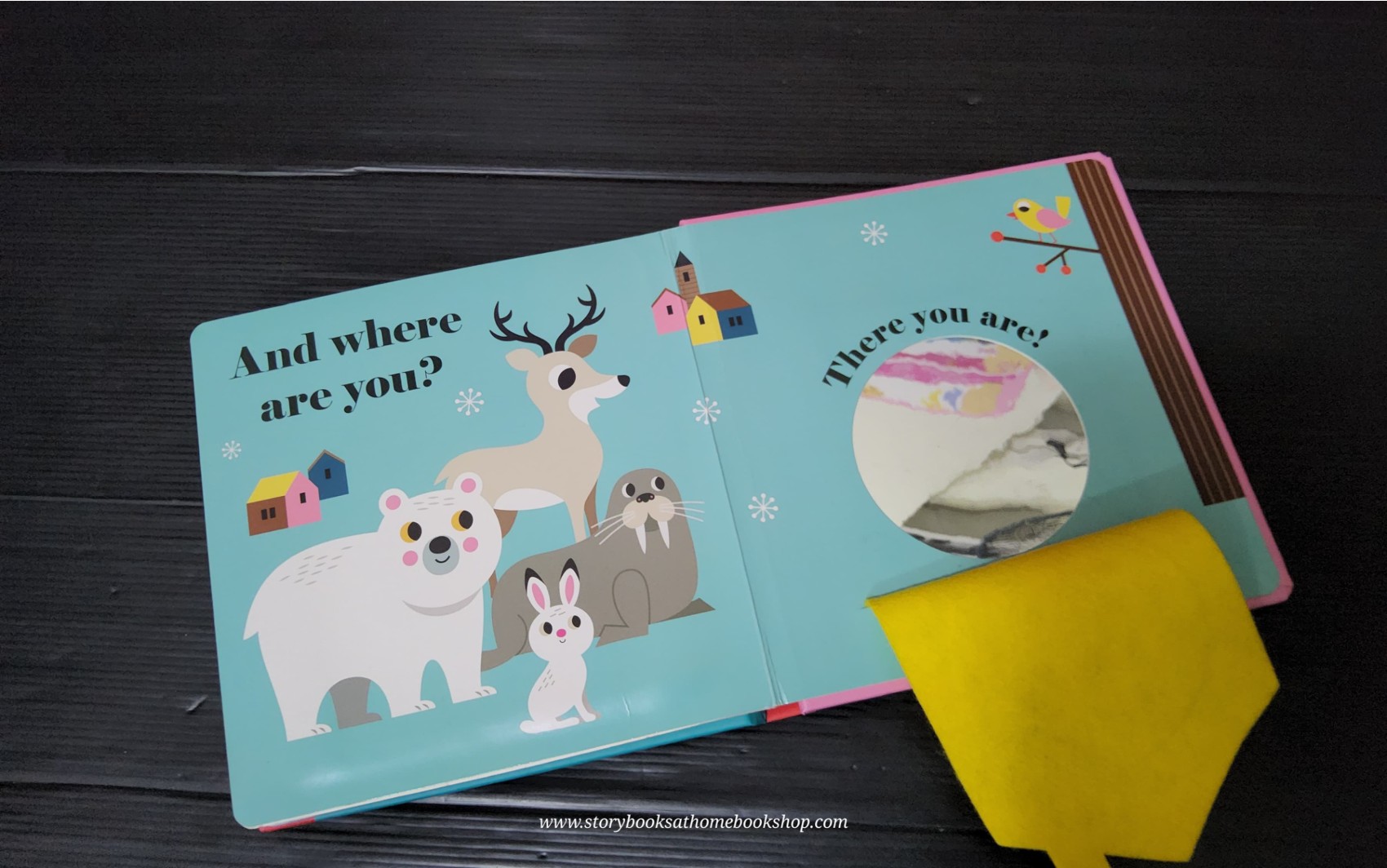 BOARD BOOK** 🍅🍅WHERE'S MR POLAR BEAR?