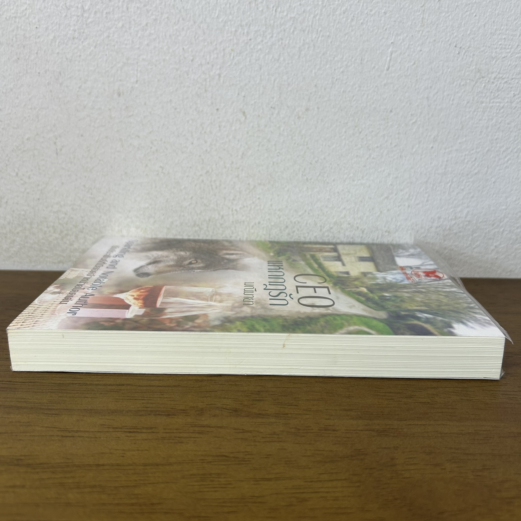 CEO แหกกฎรัก ... มณีมายา (มือสอง) นิยาย โรมานซ์ พลอยวรรณกรรม