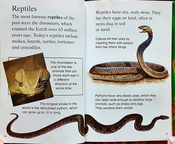 หนังสือนิทานเด็ก ภาษาอังกฤษ ปกแข็ง 🍅🍓Animals/Used สภาพ 80-90%