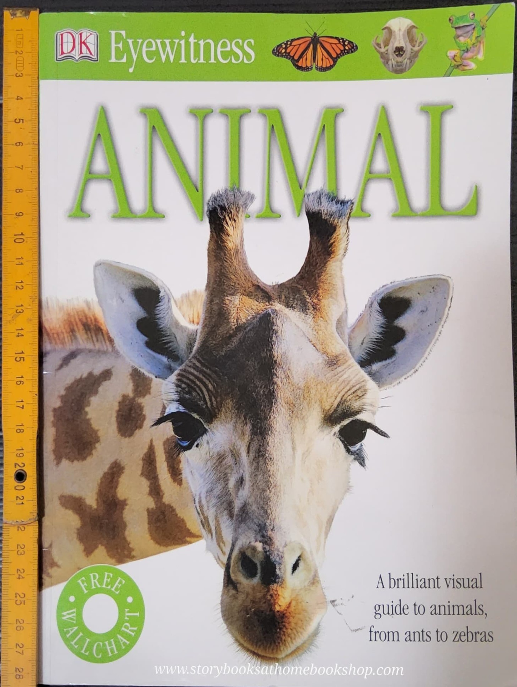 Knowledge Book** 🍅🍓DK Eyewitness ANIMAL