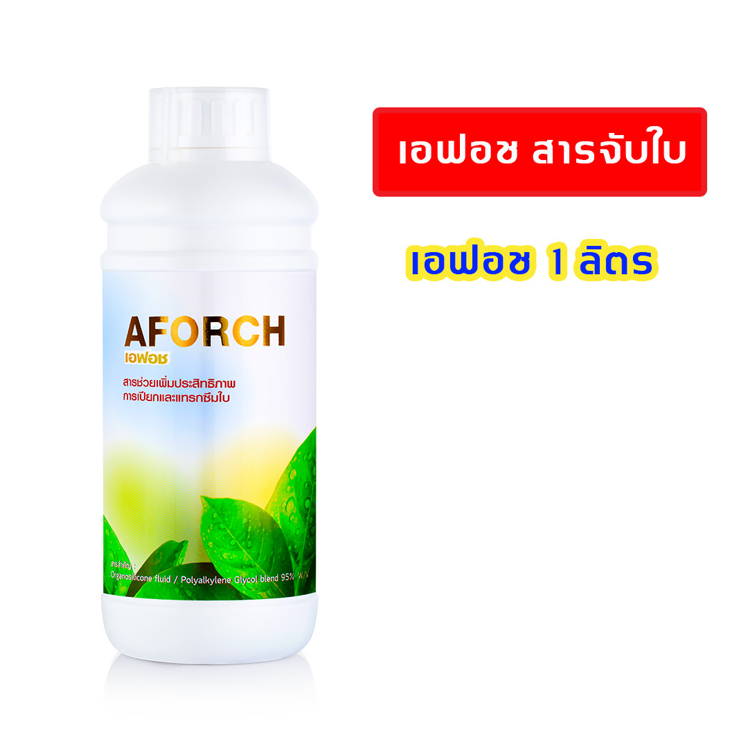 (1แถม1) เอฟอช สารจับใบ Aforch ขนาด 1 ลิตร ซึมเข้าใบทันที 2-3 นาที ประหยัด ปลอดภัย