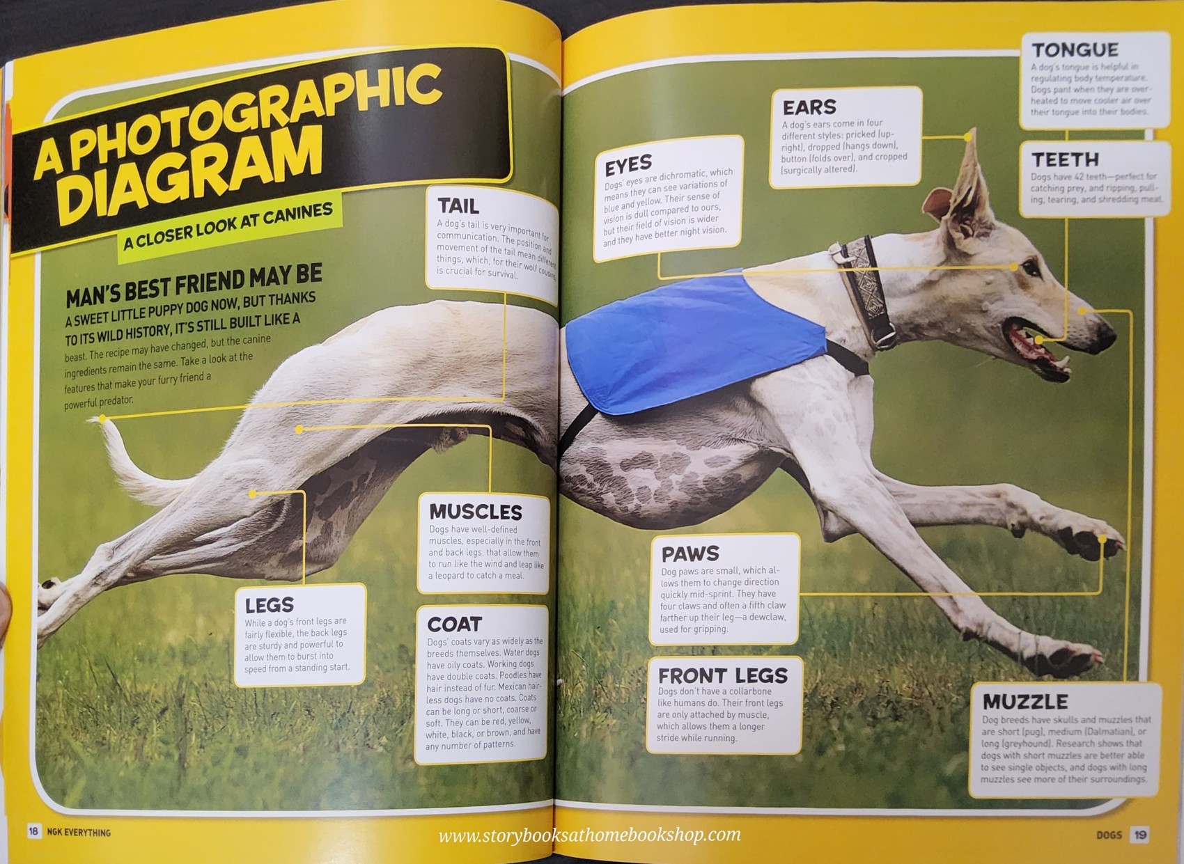 KNOWLEDGE BOOK** ♥️NATIONAL GEOGRAPHIC KIDS:EVERYTHING DOGS