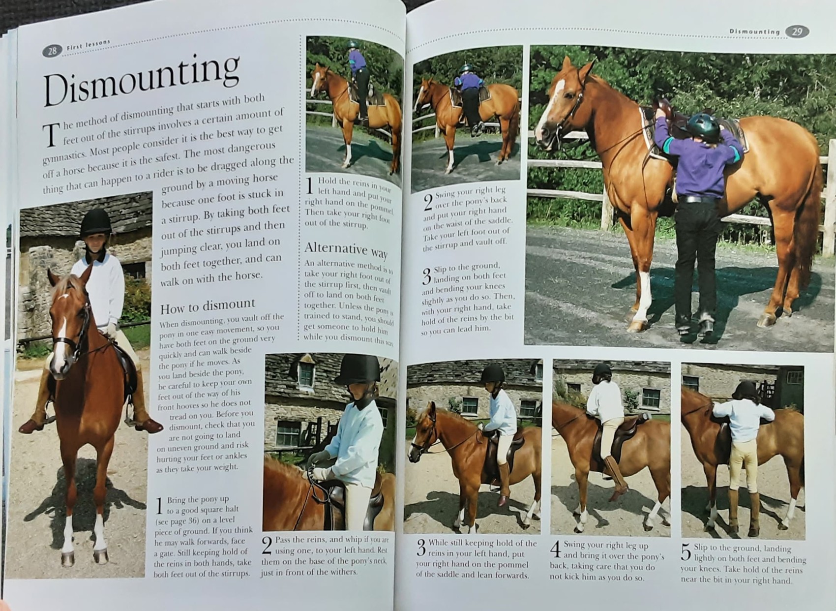 หนังสือความรู้ KINGFISHER RIDING CLUB:FIRST RIDING LESSONS