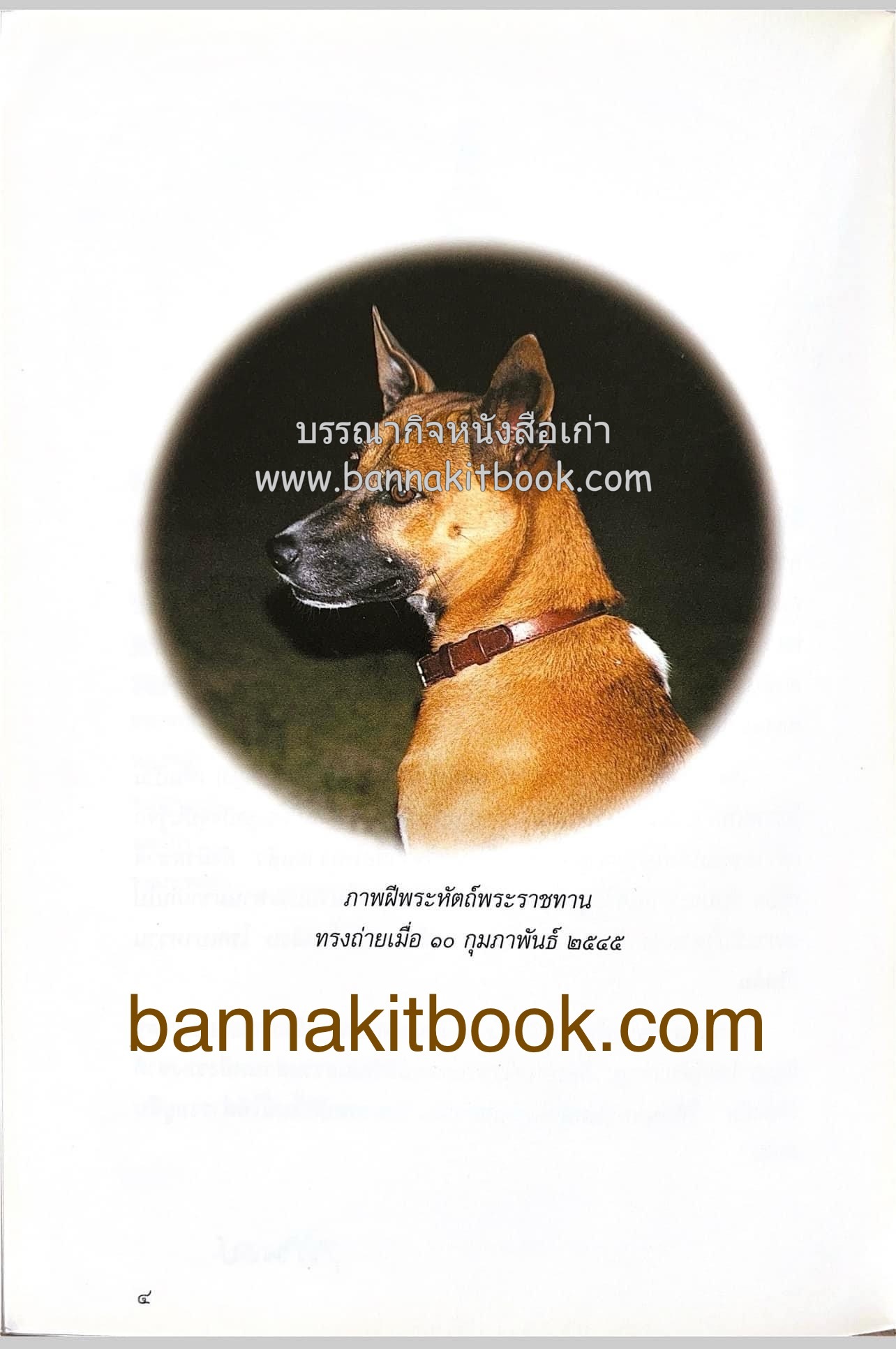 ขนมลูกๆ ทองแดง ของ วิทยาลัยในวังหญิง สูตรขนมโดย : หม่อมหลวงดรุณี จักรพันธุ์.