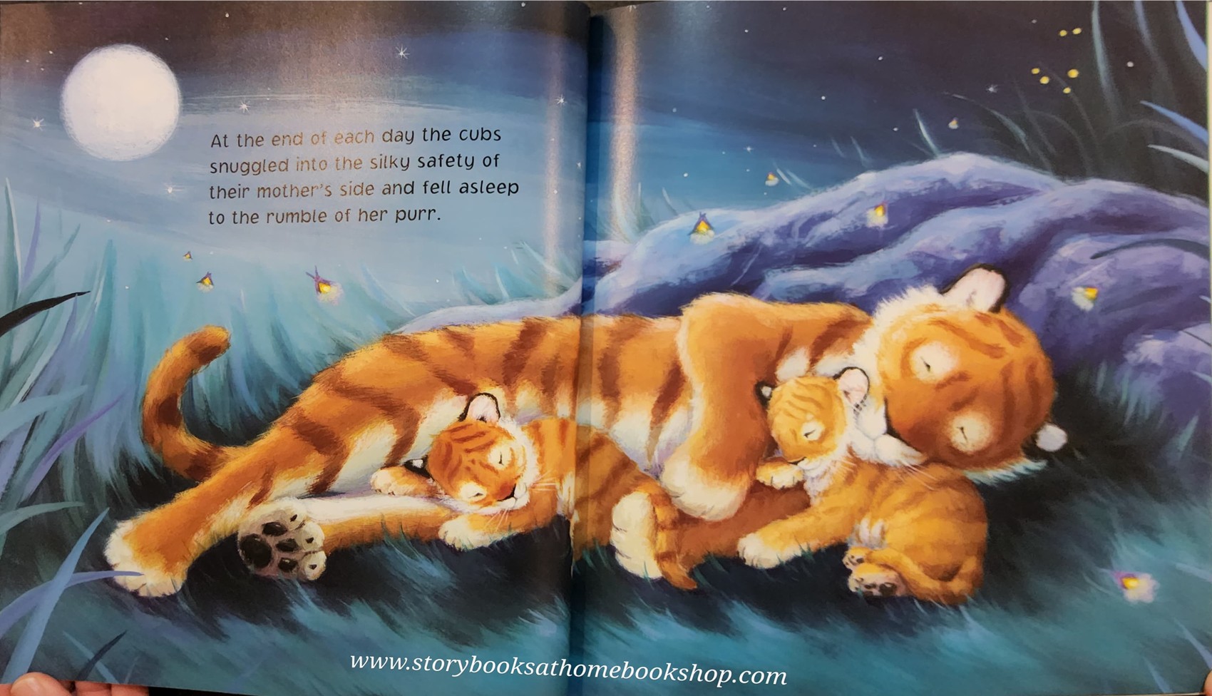 หนังสือนิทานปกอ่อน** 🍅🍅DON'T BE AFRAID,LITTLE ONES♥️♥️