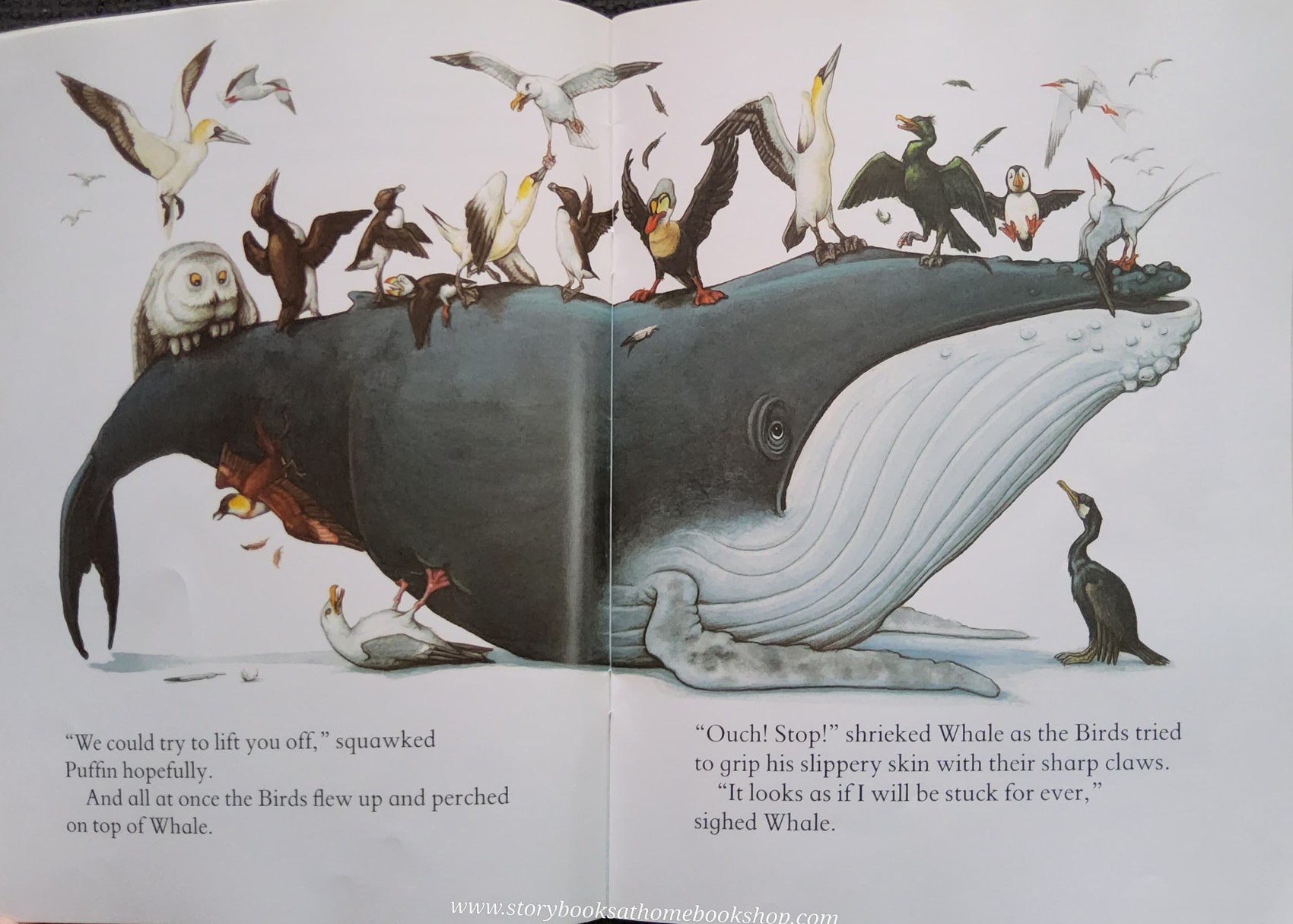 หนังสือนิทานปกอ่อน** 🍅🍓WHALE IS STUCK BY CHARLES FUGE AND KARAN HAYLES