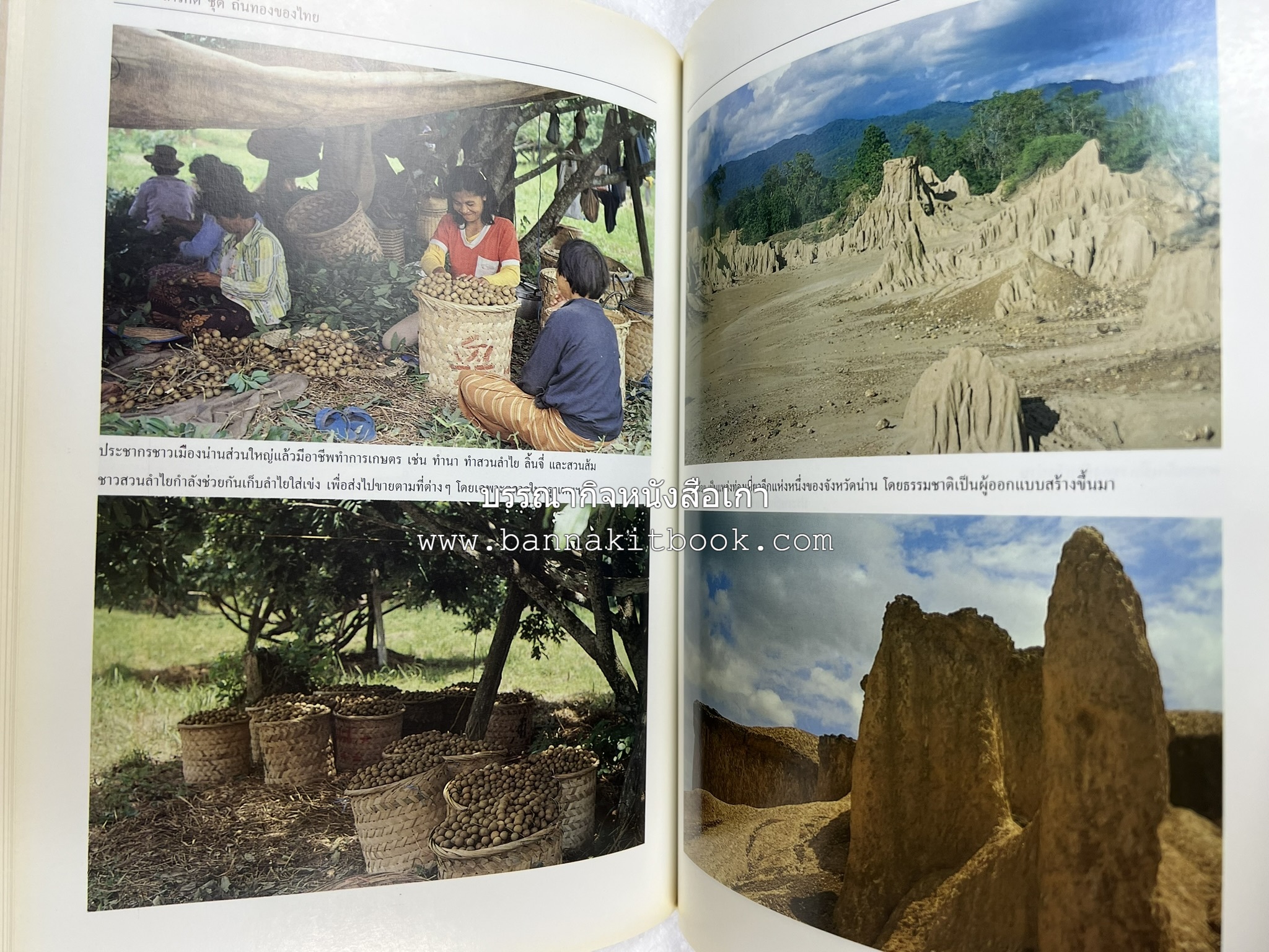 น่าน สารคดีชุดถิ่นทองของไทย โดย : สมัย สุทธิธรรม.