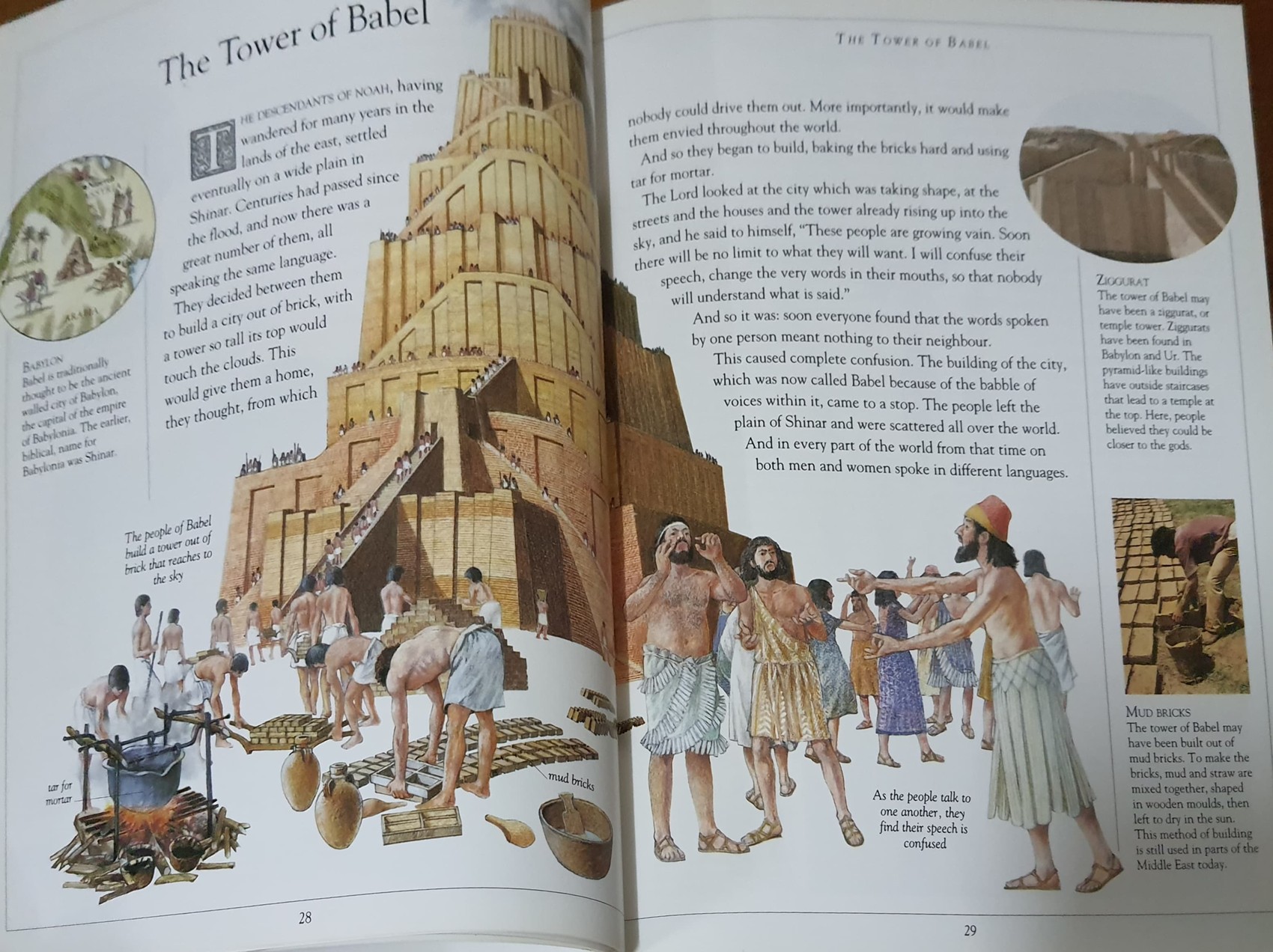 KNOWLEDGE BOOK** ♥️THE CHILDREN'S ILLUSTRAED BIBLE