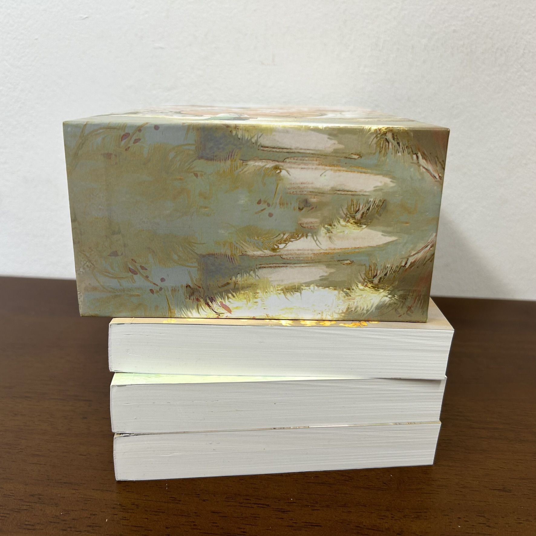 BOXSET สาวรับใช้ยอดดวงใจ เล่ม 1-3 จบ ... ชางเว่ยเซียวเซียว (มือสอง) แปลจีน นิยาย นิยายรัก หอมหมื่นลี้