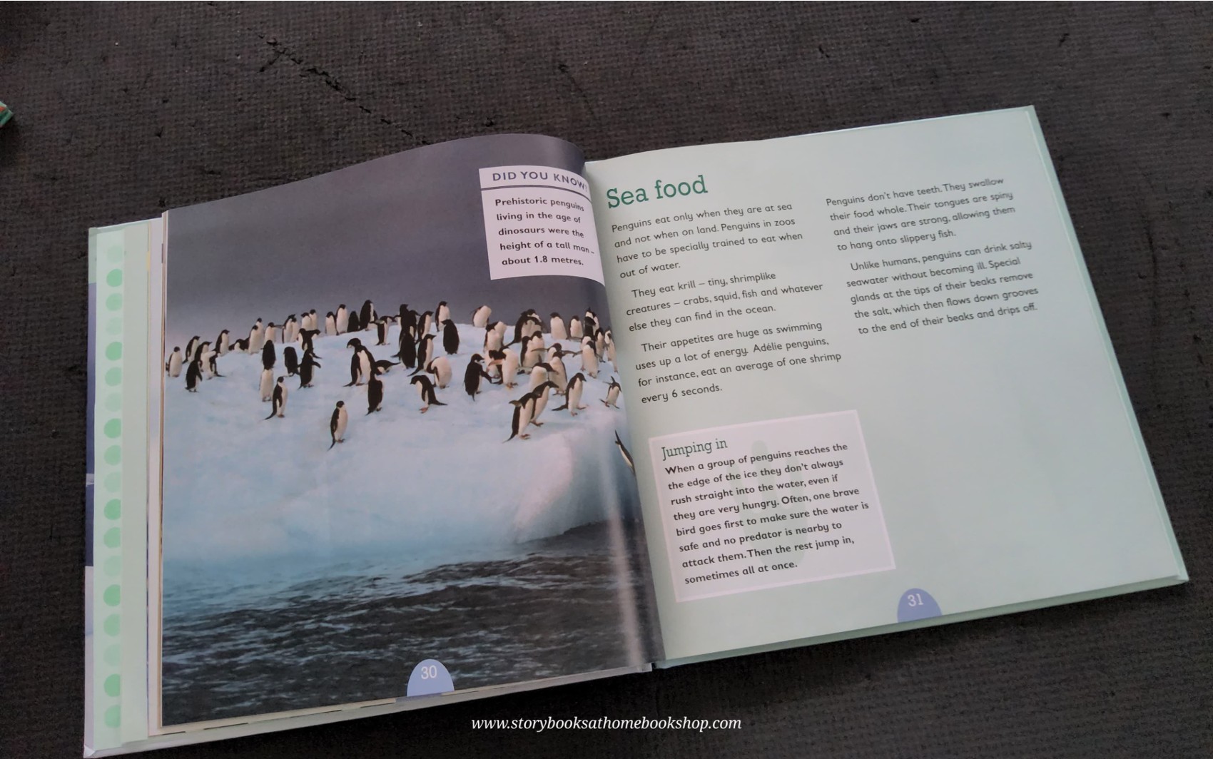 KNOWLEDGE BOOK** ♥️♥️ALL ABOUT ANIMAL:PENGUINS