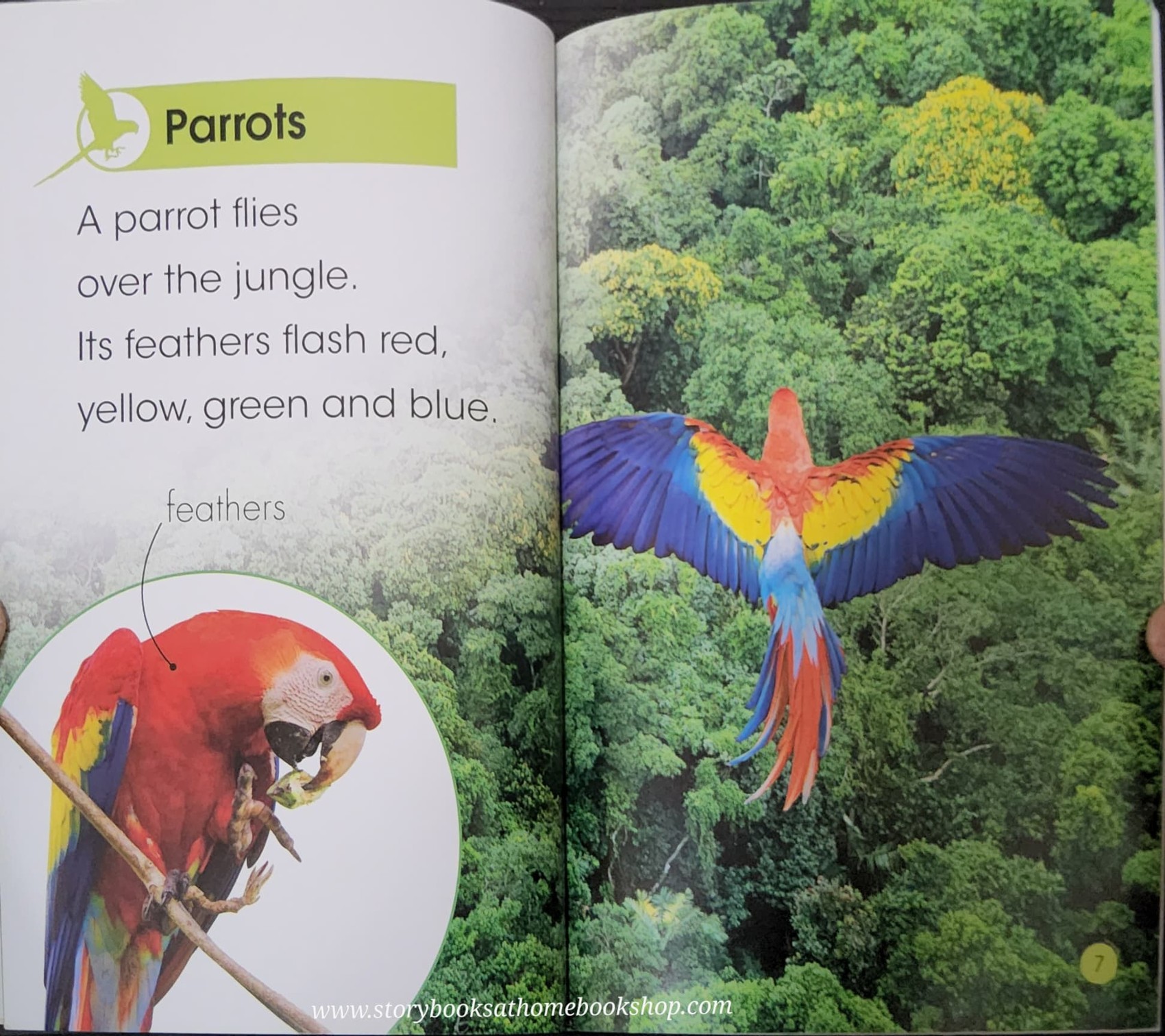 KNOWLEDGE BOOK ** 🍅🍓DK LEVEL 1 JUNGLE ANIMALS