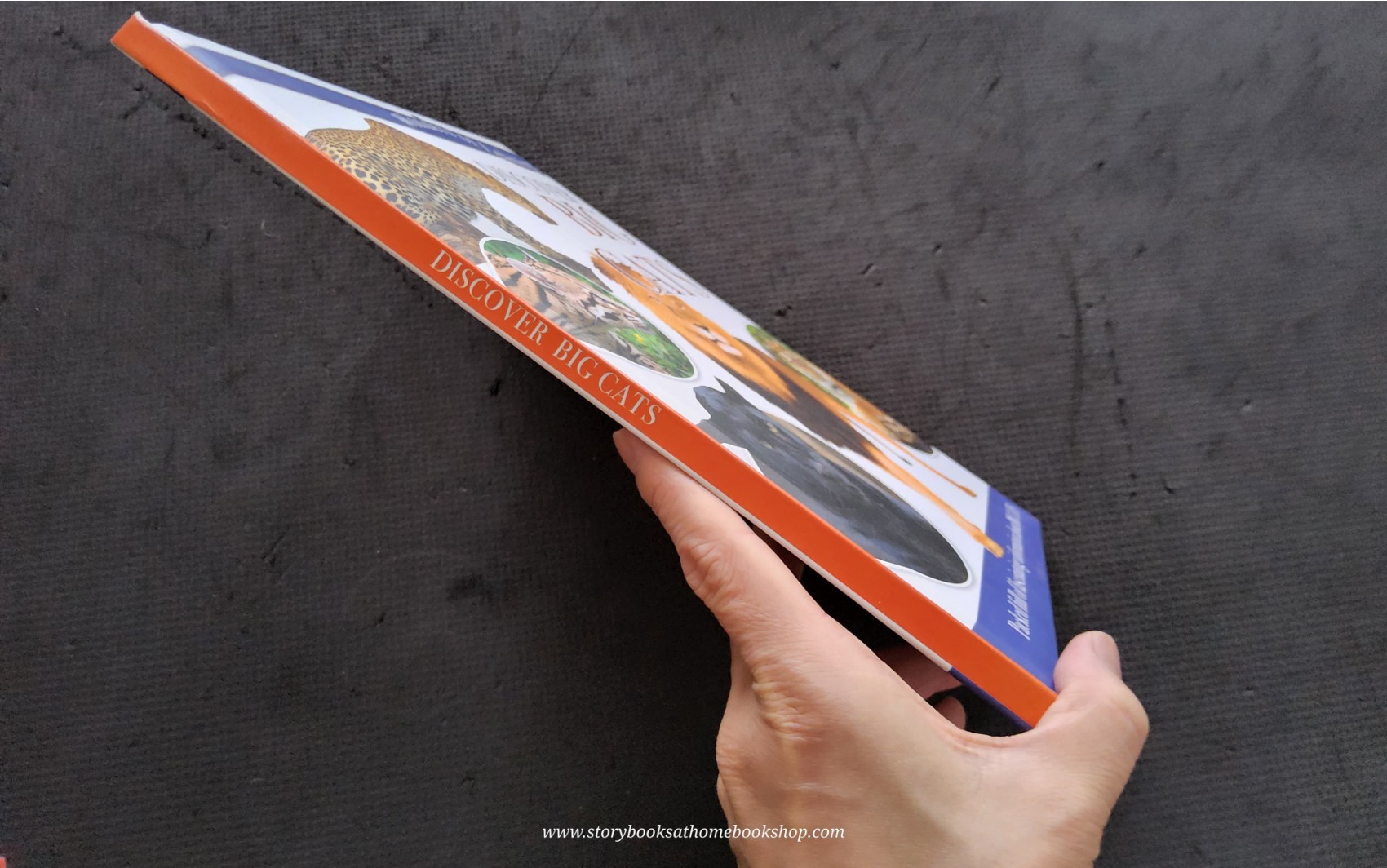 Knowledge Book** ð
ðWonder of Learning Discover BIG CATS