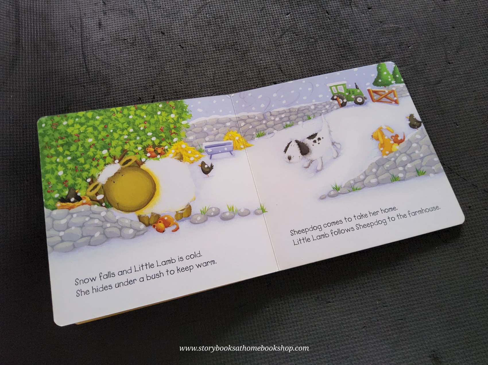 BOARD BOOK** 🍅🍓Baa!