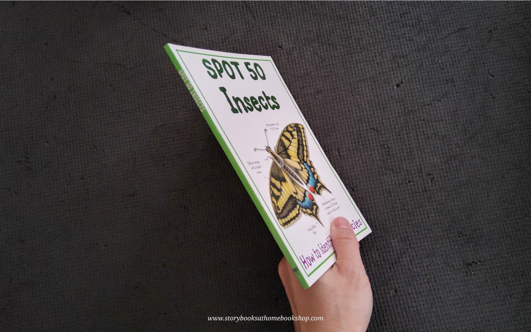 KNOWLEDGE BOOK** 🍅🍓 SPOT 50 INSECTS HOW TO IDENTIFY 50 SPECIES