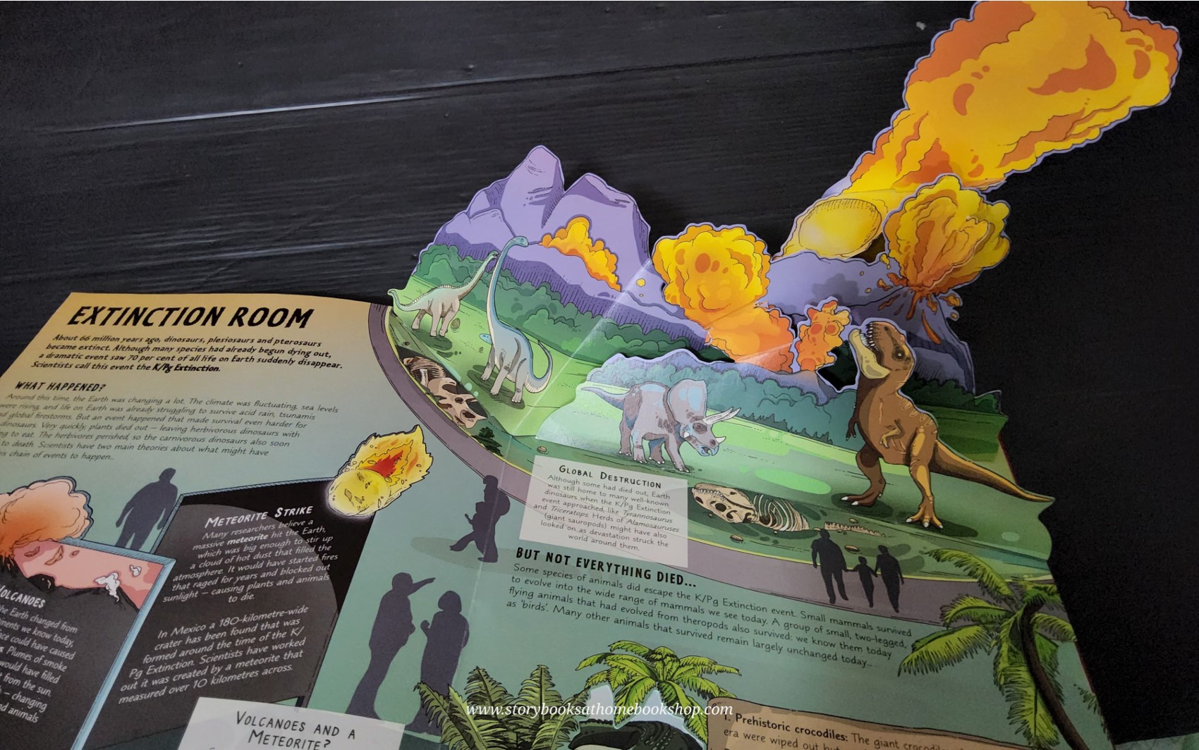 Pop-up Knowledge book ** 🍅🍓 A DAY AT THE DINOSAUR MUSEUM