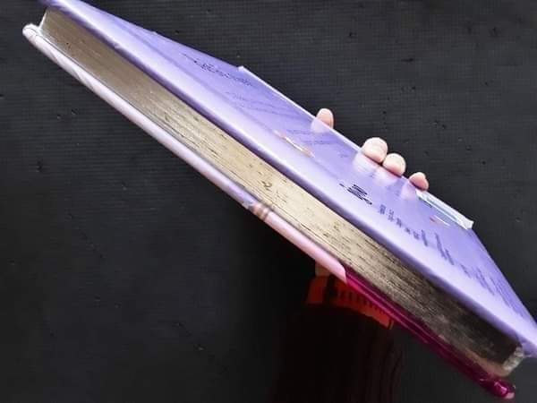 Board Book ** 🍅🍓Perfect Princess♥️♥️