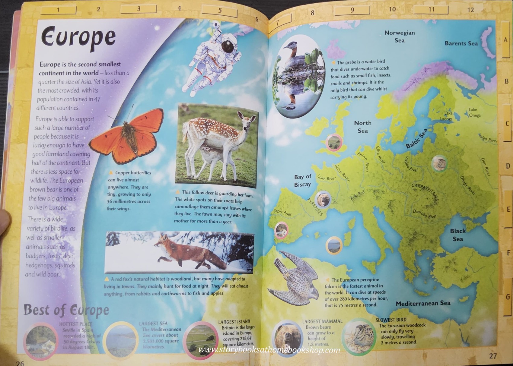 KNOWLEDGE BOOK** ♥️FIRST FUN ATLAS