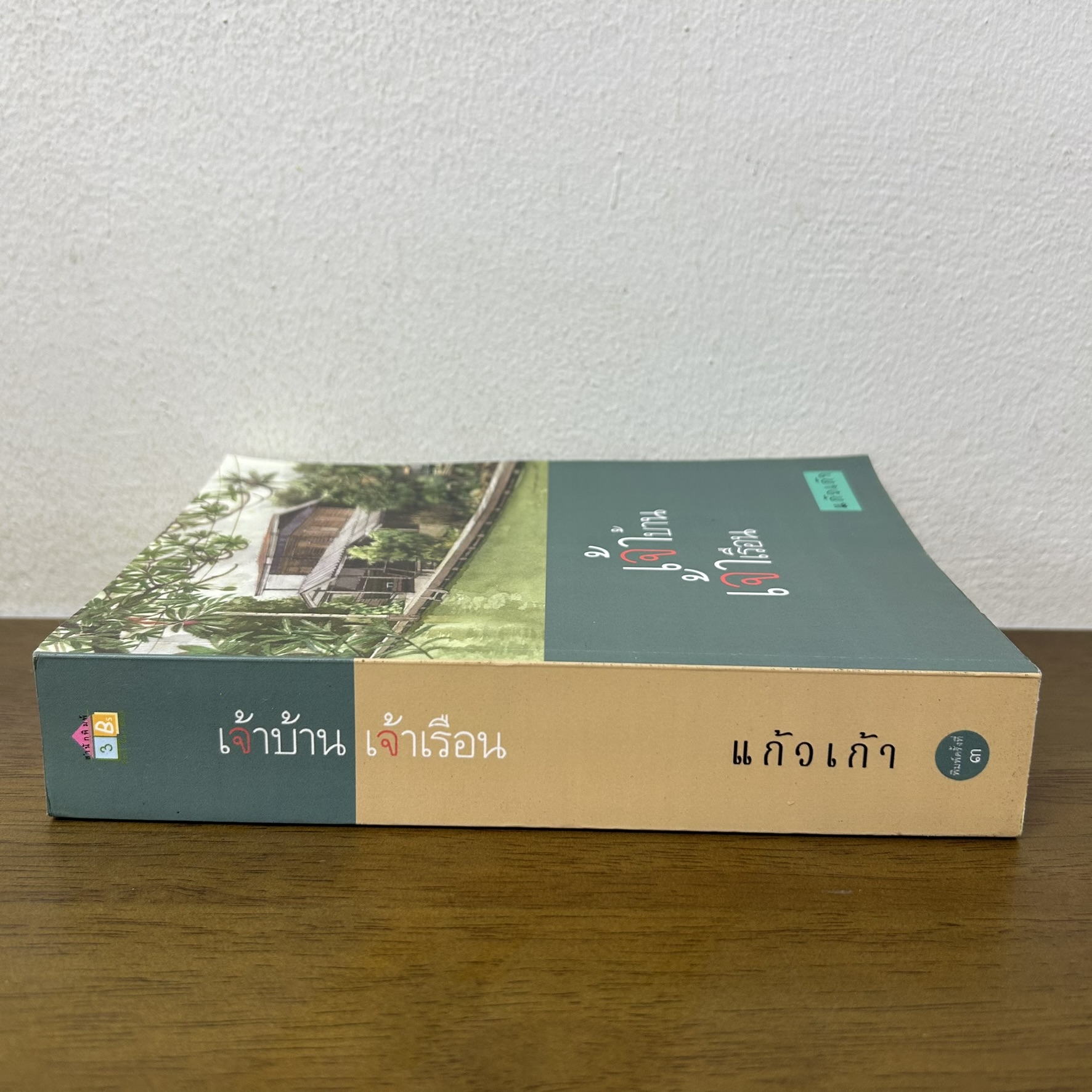 เจ้าบ้านเจ้าเรือน ... แก้วเก้า (มือสอง) นิยาย โรแมนติก ทรีบีส์ เพื่อนดี