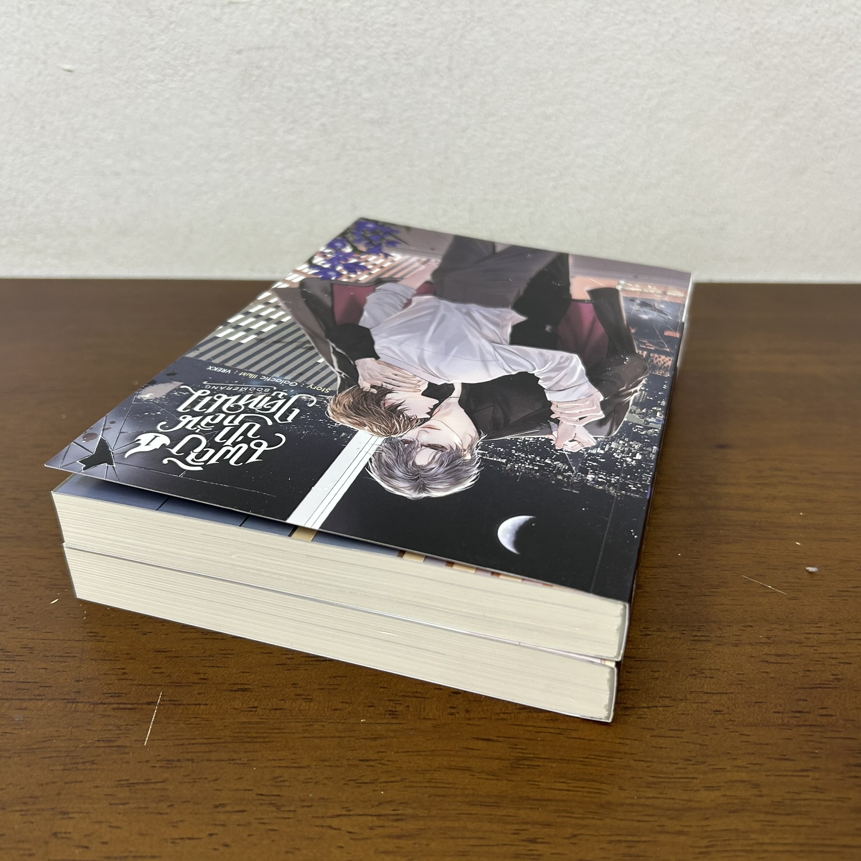 [YAOI] Boomerang เพลิงป่ากลิ่นฤดูหนาว เล่ม 1-2 จบ ครบชุด ... Galactic (มือสอง) นิยายวาย SENSE