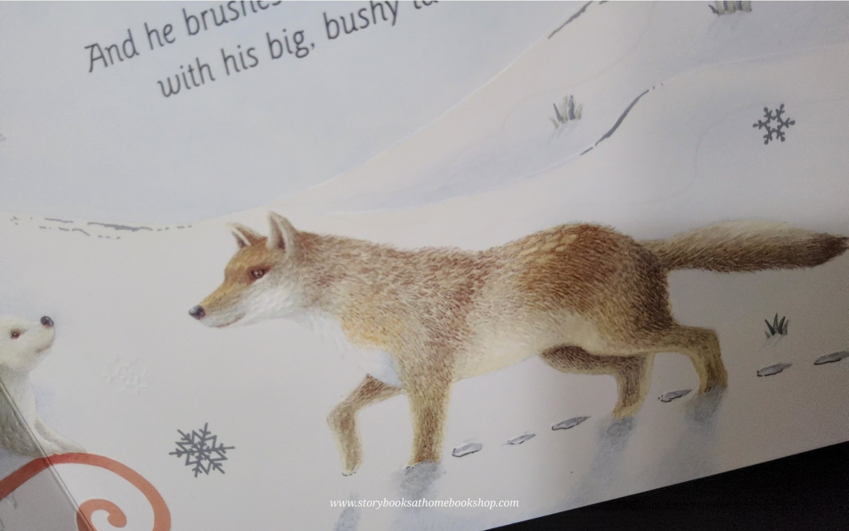 หนังสือนิทานปกแข็ง** 🍅🍓THE SNOW BEAR