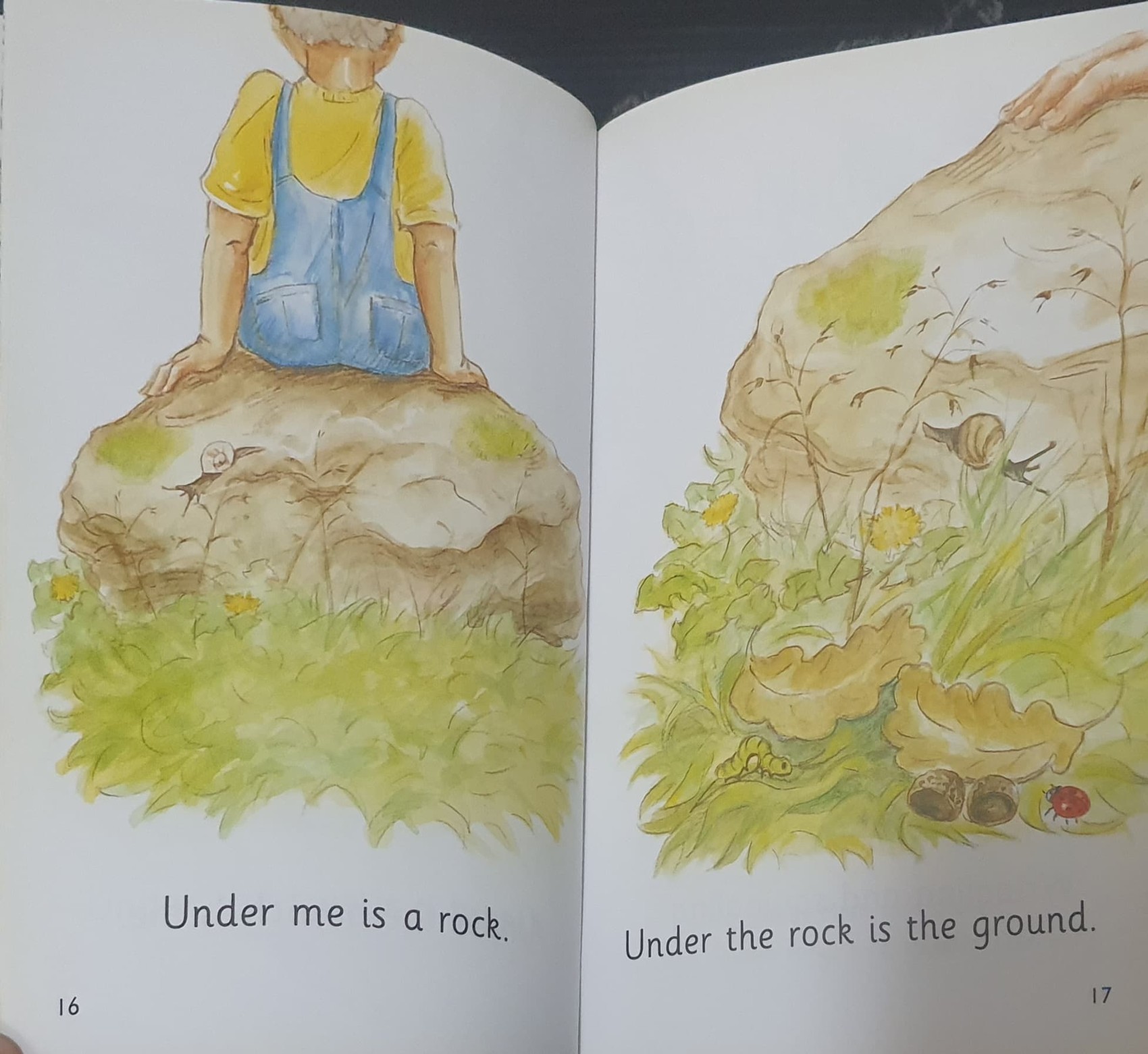 หนังสือนิทานปกแข็ง ** 🍅🍓READ WITH LADYBIRD:L2 BOOK 2 UNDER THE SKY