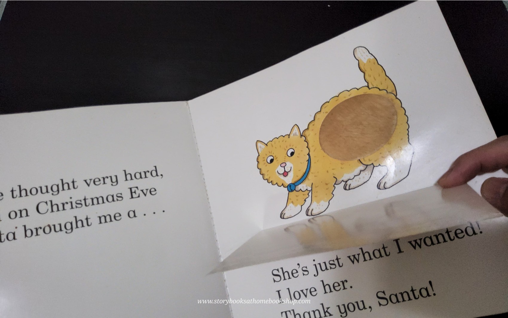 FLAP BOARD BOOK** 🍅🍅DEAR SANTA BY ROD CAMPBELL