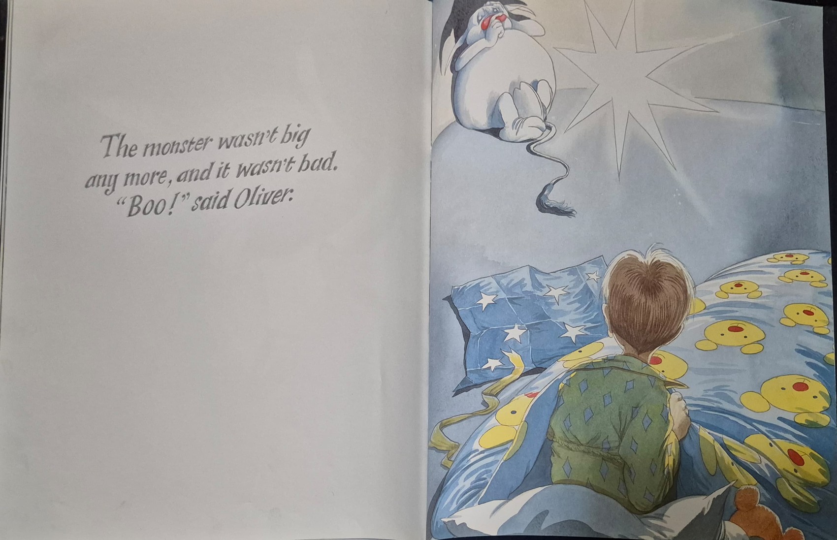 หนังสือนิทานปกแข็ง ** 🍅🍓THE WISH FACTORY BY CHRIS RIDDELL