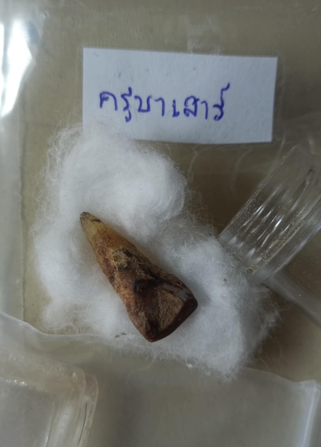 พระทันตธาตุ ครูบาเสาร์ วัดรัตนาราม จ.เชียงใหม่ เจ้าของเดิมคือปู่เขียว สืบต่อมาถึงผู้เป็นบุตรคุณปู่เขียว เล่าให้ฟังว่า ได้พระทันตธาตุครูบาบุญเป็ง มานานมาก จำปี พ.ศ. ไม่ได้ ว่าได้มาจากหลานของครูบาเจ้าบุญเป็ง หลานครูบาเป็นคนบ้านเดียวกับปู่เขียว