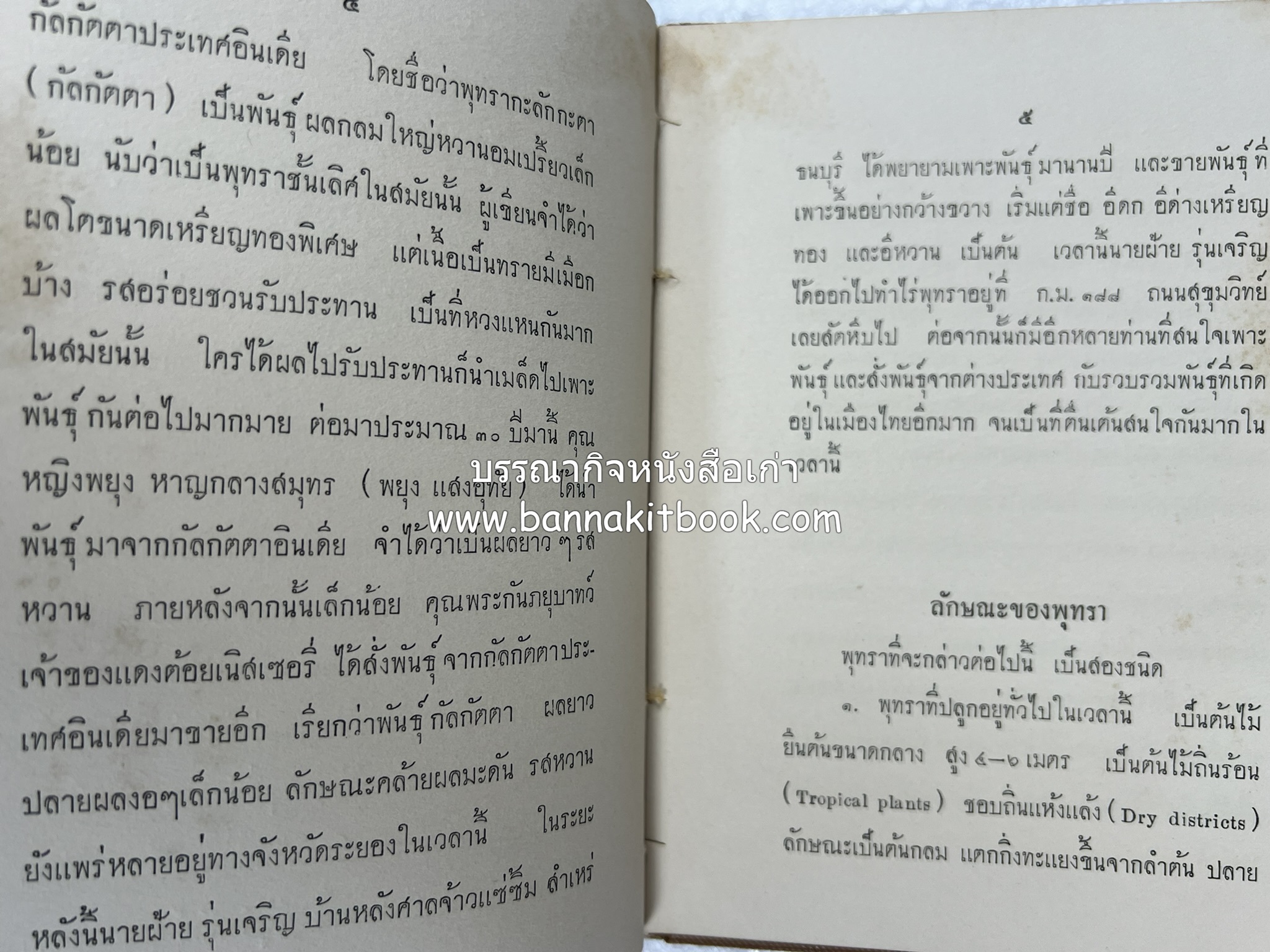 การเพาะปลูกพุทรา ตำราชุดเกษตรกรรม ของ หลวงบุเรศบำรุงการ.
