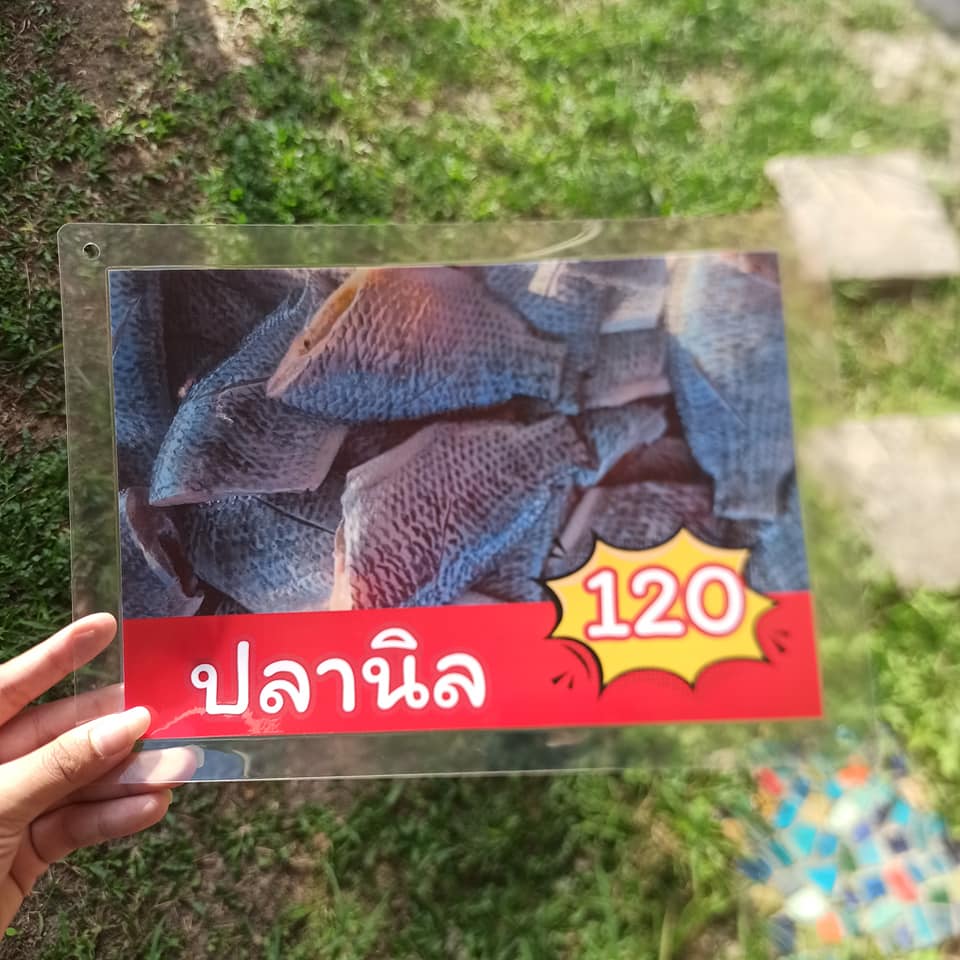 ป้ายเมนูสำเร็จรูป A4 - 7 แผ่น | ปลาช่อน, ปลาสลิด, ปลาดุก, ปลาลิ้นหมา, ปลาสังกะวาด, ปลานิล, ปลาสวาย | เมนูชัดเจน พร้อมใช้งาน