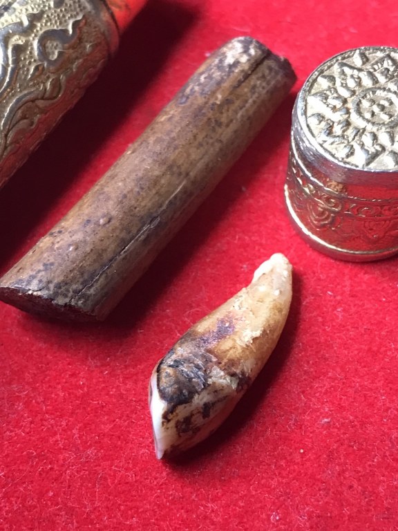 พระทันตธาตุ หวายเสก ครูบาบุุญญาภินันท์ วัดกำแพงงาม อ.หางดง จ.เชียงใหม่ เจ้าของเดิมคือหนานบุญ เสียชีวิตแล้วเมื่อปี 2548 พระทันตธาตุและหวายเสกนี้ ได้มาจากหลานหนานบุญ ชื่อปลั๊ก อายุ 33 ปี ปัจจุบันมีอาชีพ ขายผลไม้ในตลาดแม่วาง จ.เชียงใหม่