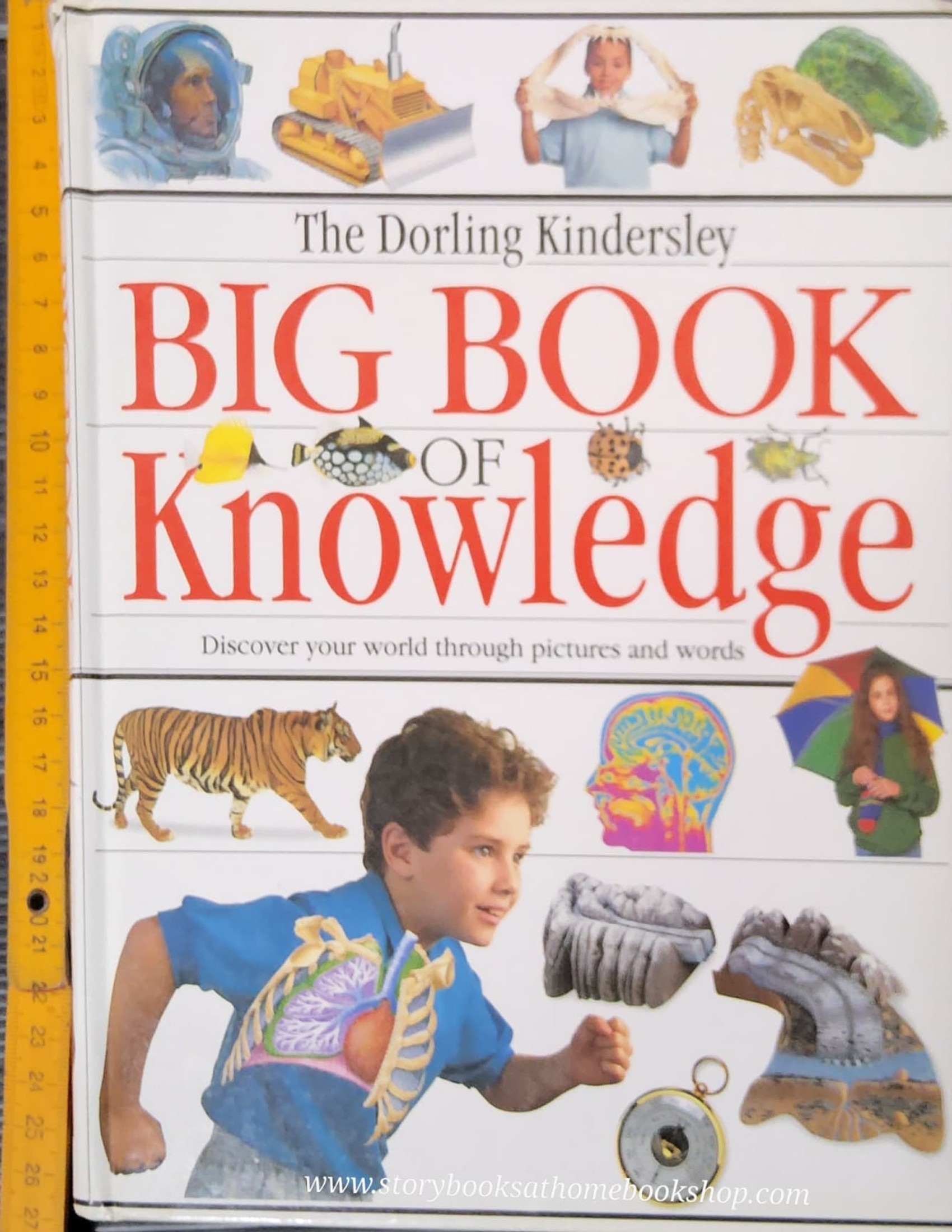 **KNOWLEDGE BOOK** 🍅🍓THE DORLING KINDERSLEY BIG BOOK OF KNOWLEDGE