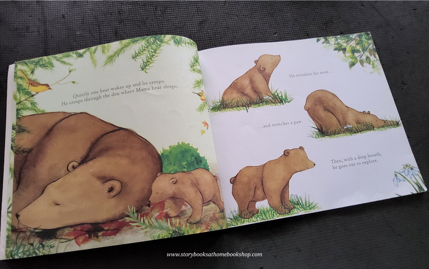 หนังสือนิทานปกอ่อน ** 🍅🍓 TWO LITTLE BEARS