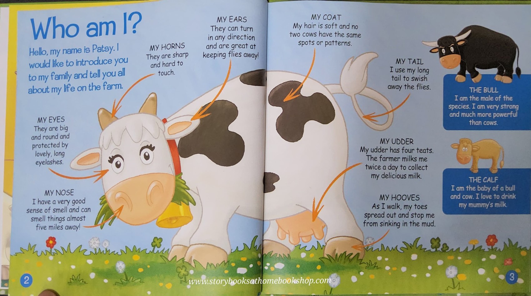 หนังสือนิทานปกแข็ง** 🍅🍓MY ANIMAL FARM: ANIMALS IN THE FIELD:COWS